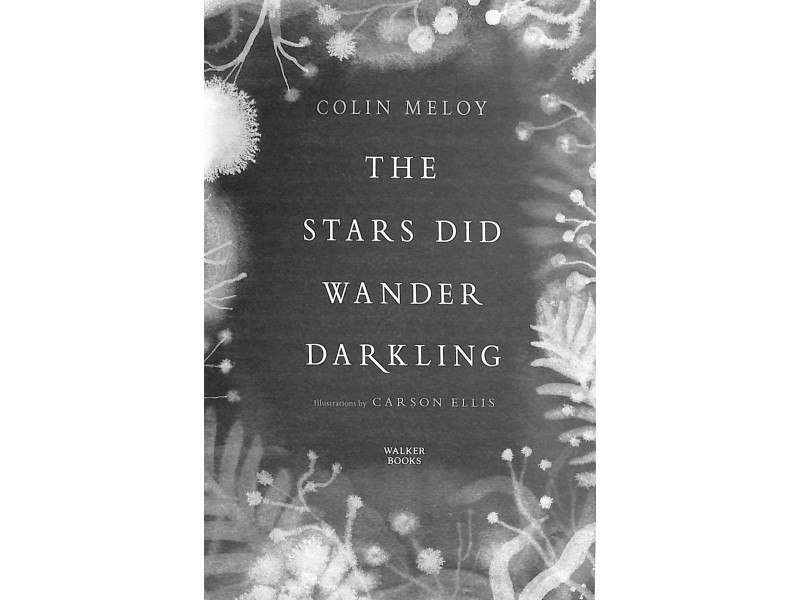 The Stars Did Wander Darkling